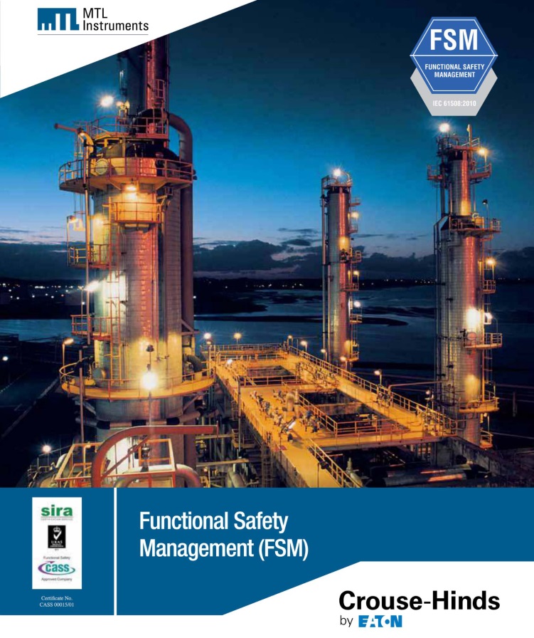 Functional Safety Management (FSM)